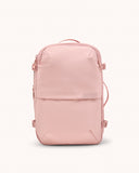 Rose corail